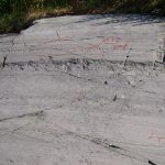 Alta Rock Art.