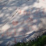 Alta Rock Art.