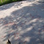 Alta Rock Art.