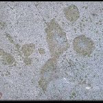 Massleberg Rock Carvings.