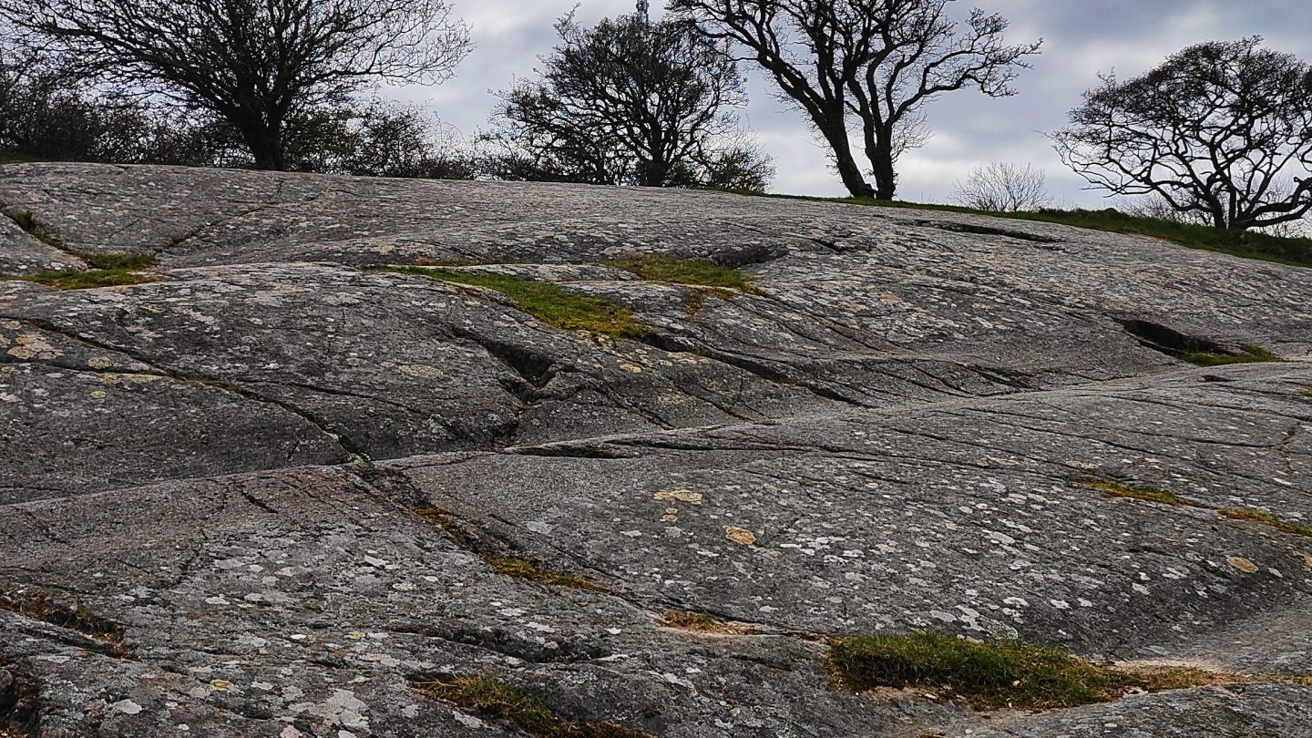Bornholm Rock Carvings.
