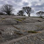 Bornholm Rock Carvings.