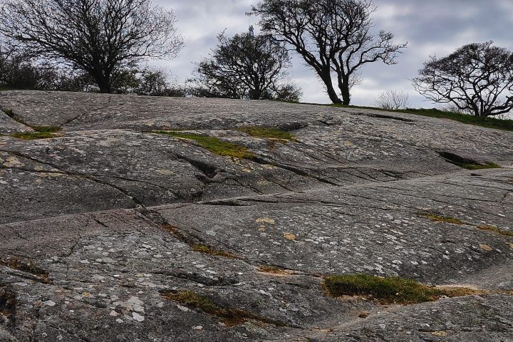 Bornholm Rock Carvings.