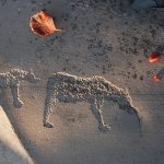 Alta Rock Art.