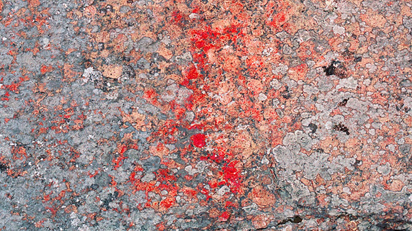 Linnasaari Rock Paintings. Image collection credit: Ismo Luukkonen (preserved from supplied folder name).