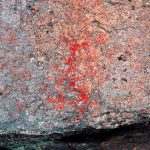 Linnasaari Rock Paintings. Image collection credit: Ismo Luukkonen (preserved from supplied folder name).
