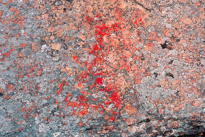 Linnasaari Rock Paintings. Image collection credit: Ismo Luukkonen (preserved from supplied folder name).