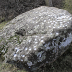 Bornholm rock carvings research screenshot