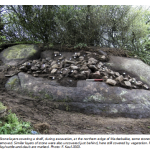 Bornholm rock carvings research screenshot