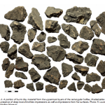 Bornholm rock carvings research screenshot