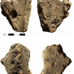 Bornholm rock carvings research screenshot