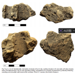Bornholm rock carvings research screenshot