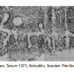 Bornholm rock carvings research screenshot