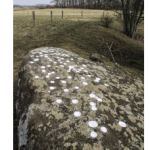 Bornholm rock carvings research screenshot